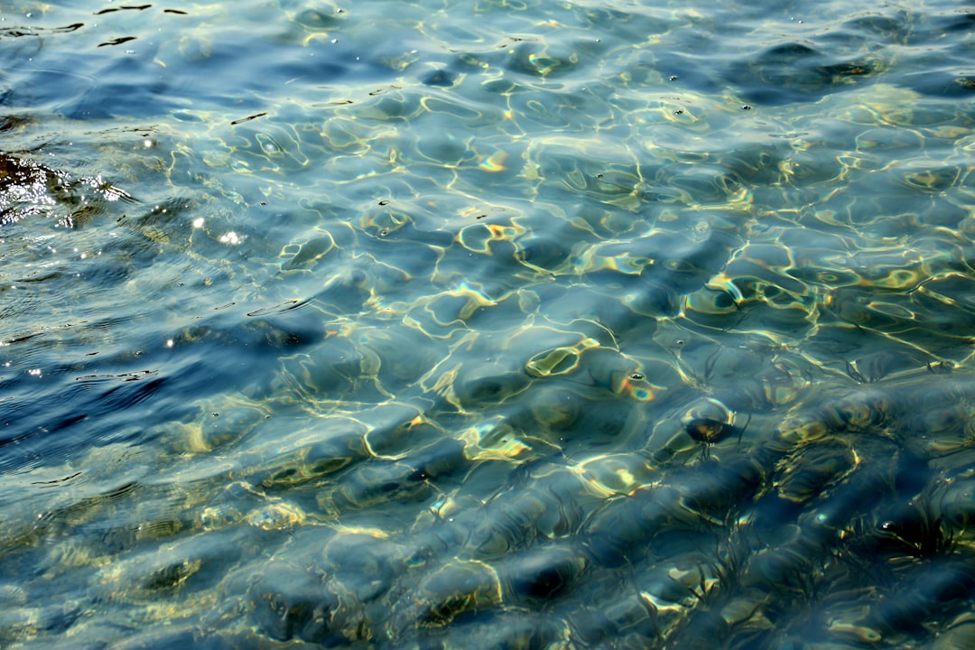 water drops on body of water