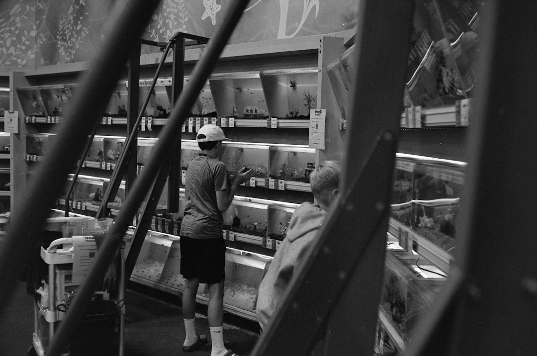 People looking at fish tanks in a store.