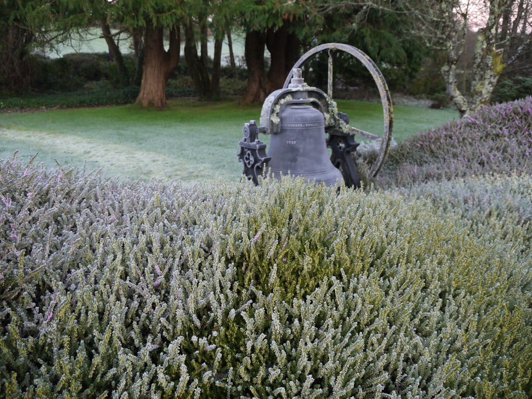 A large bell sits in a frosty garden.