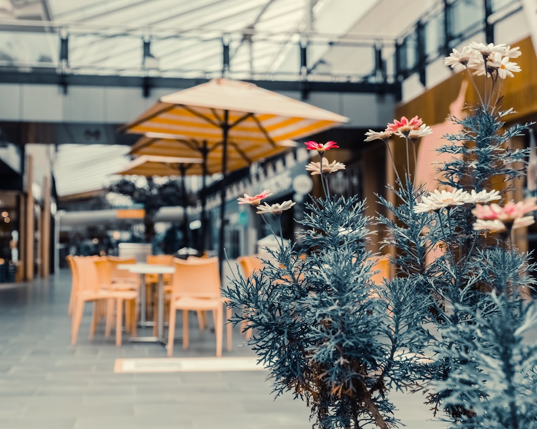 a bunch of flowers that are in a vase