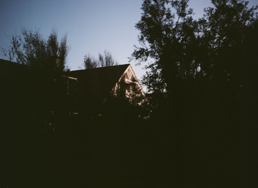 black and white house near trees