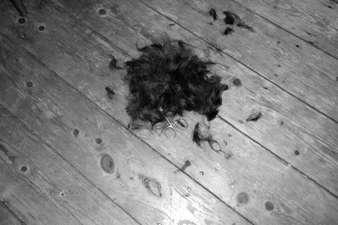a black and white photo of a hair on a wooden floor