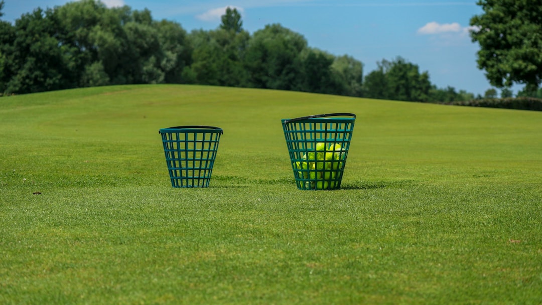 a couple of baskets on a grass field