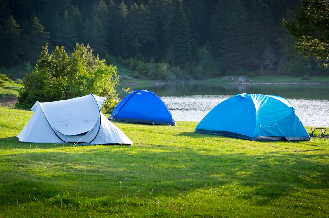 Three tents set up on a grassy lakeside.