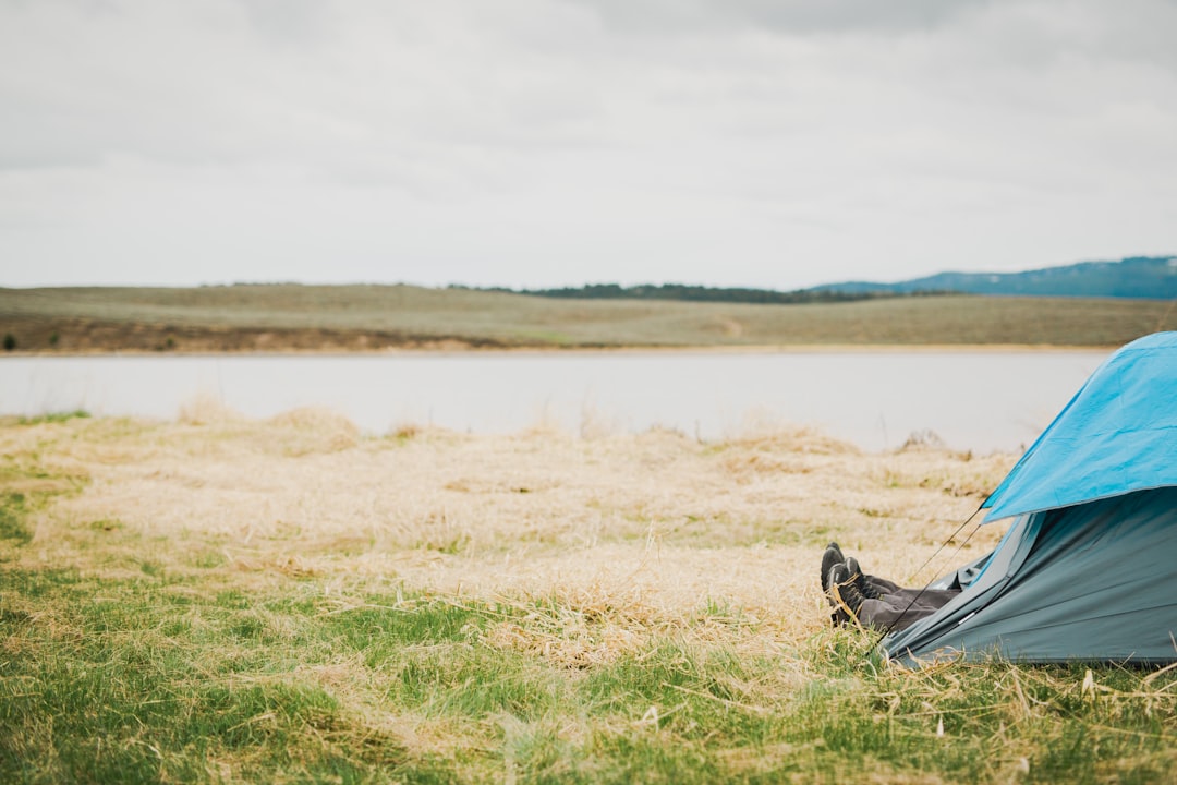 a person lying in a grassy area next to a body of water