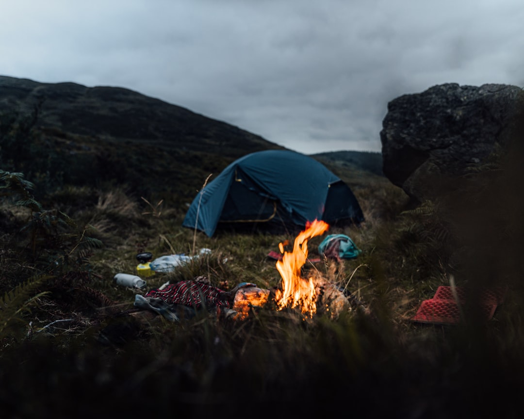 blue tent on green grass field near bonfire during night time