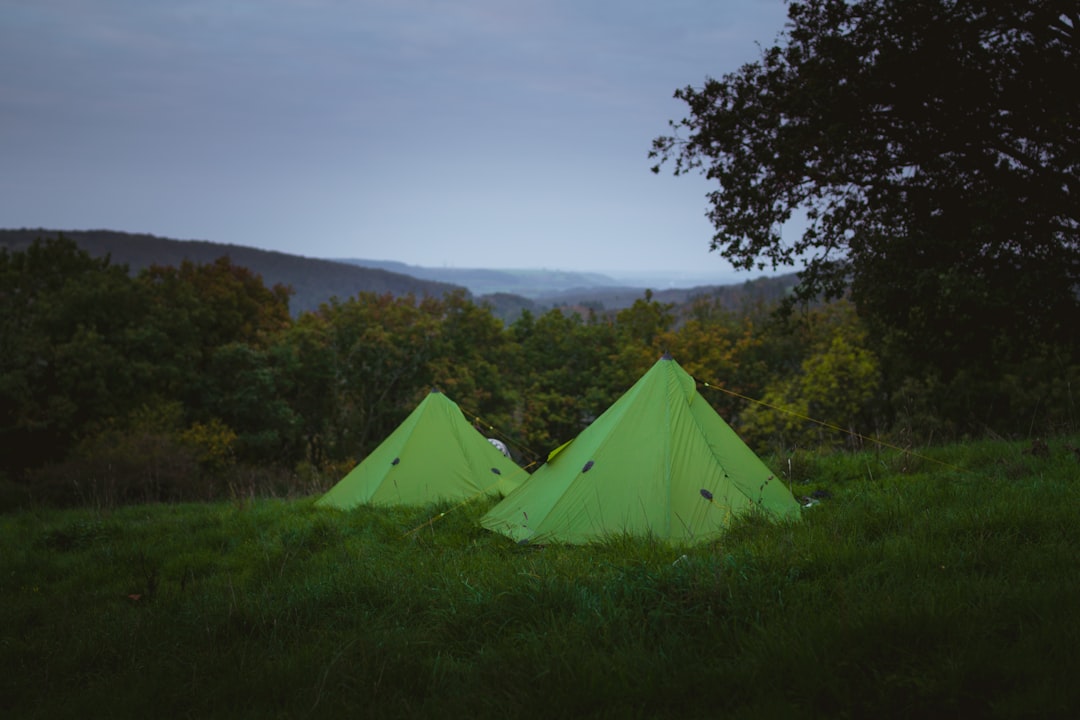 Two green tents set up in a grassy field.