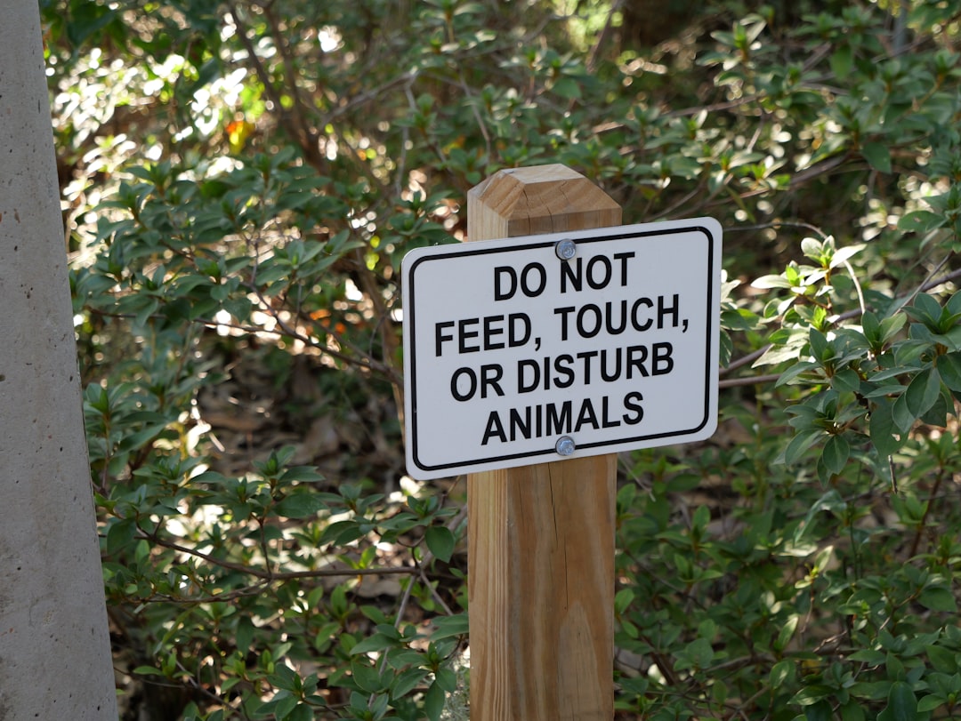Sign reads do not feed, touch, or disturb animals.