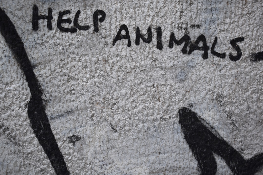 a wall that has some writing on it