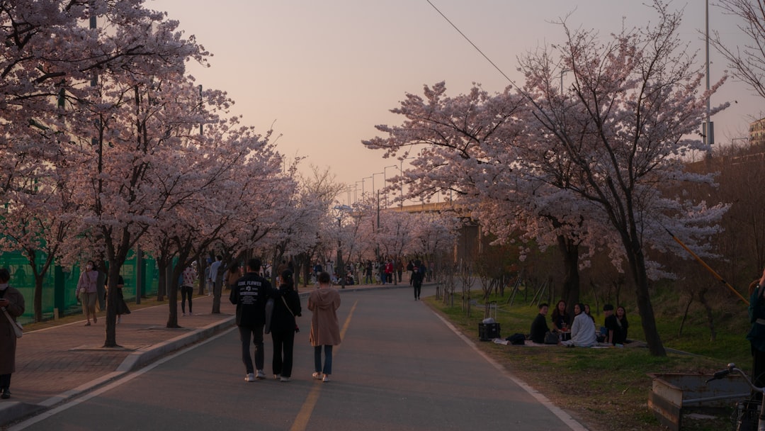 a group of people walking down a street next to trees