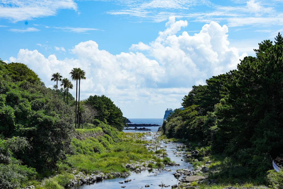 A scenic view of a river flowing towards the ocean.