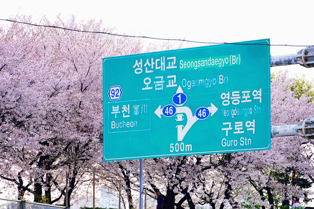 a green street sign sitting on the side of a road