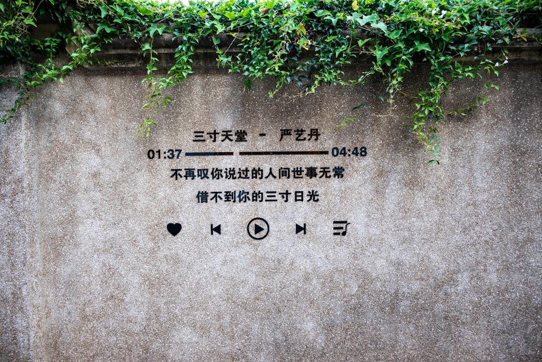 green vine plant on wall