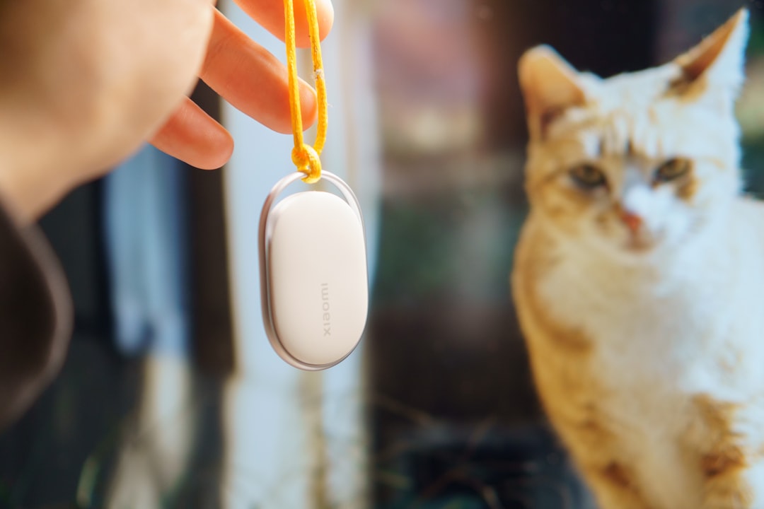 Hand holds pet tracker with cat in background