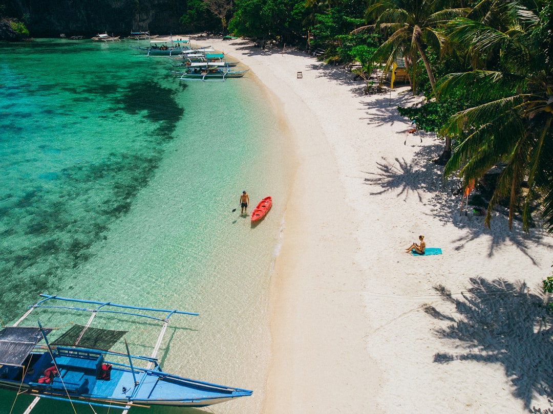 people on beach during daytime
