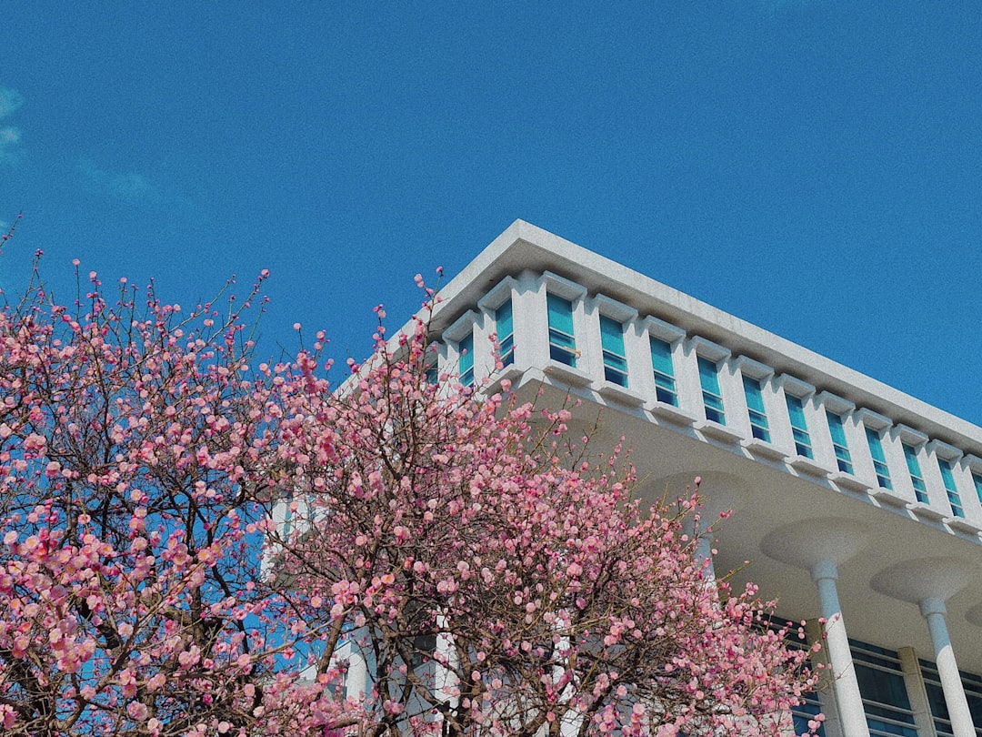 A building with a lot of trees in front of it