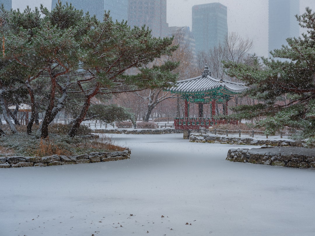 a gazebo in the middle of a snowy park