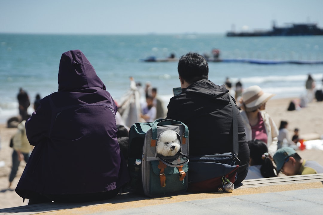 People relax at the beach with their dog.