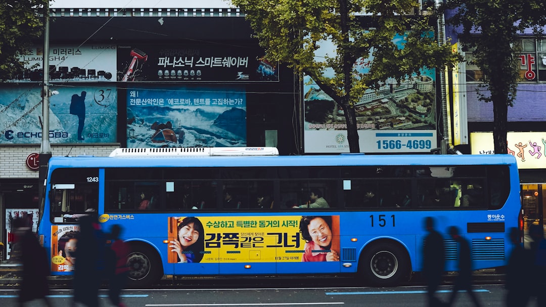 yellow and black bus on road during daytime