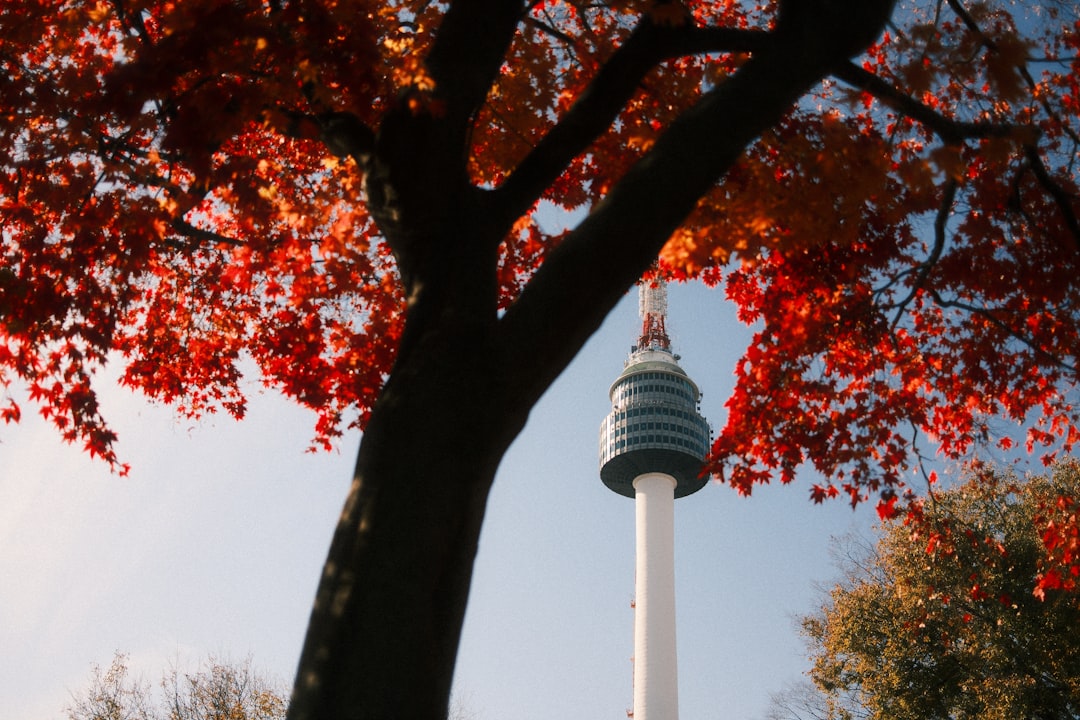 Tall tower seen through autumn tree branches