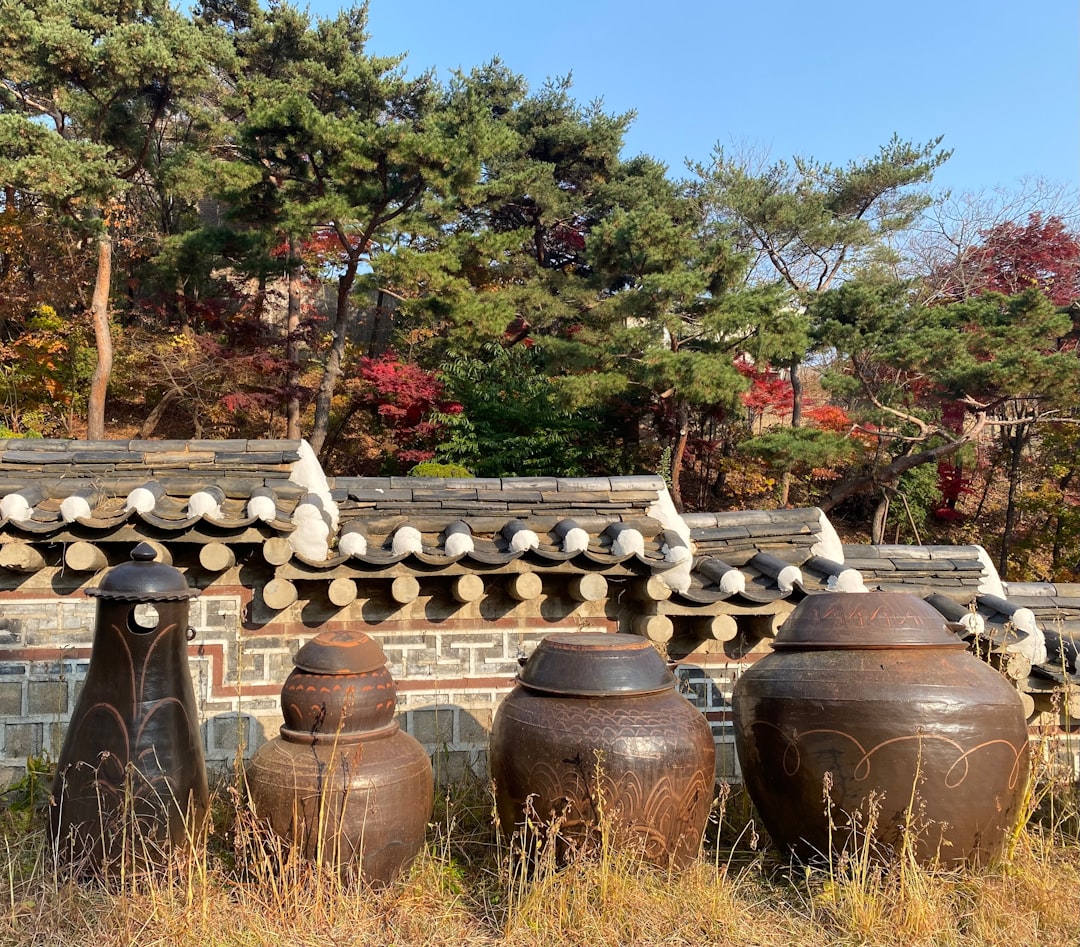 a group of pots outside