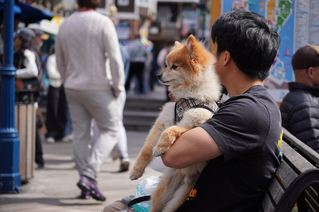A man holds a dog while sitting outside.
