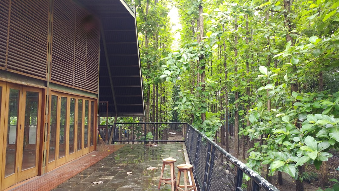 a wooden building surrounded by lush green trees