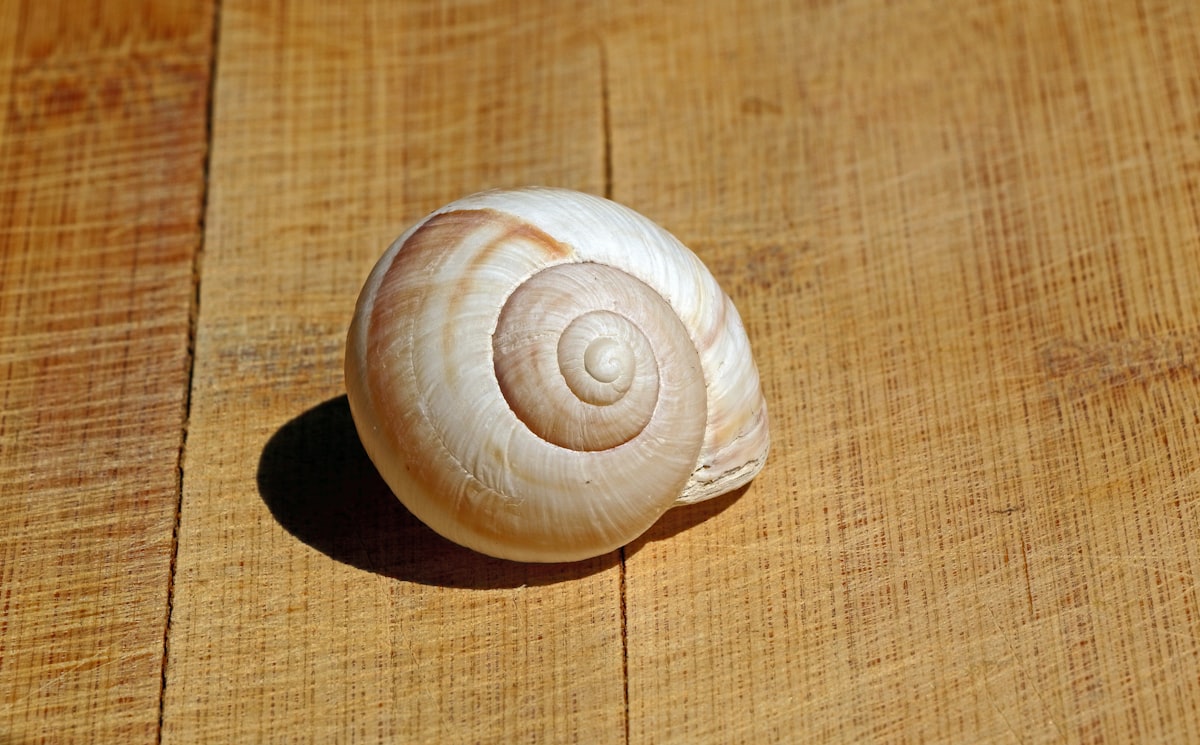 snail-mucin-eye-cream-ingredient-benefits
