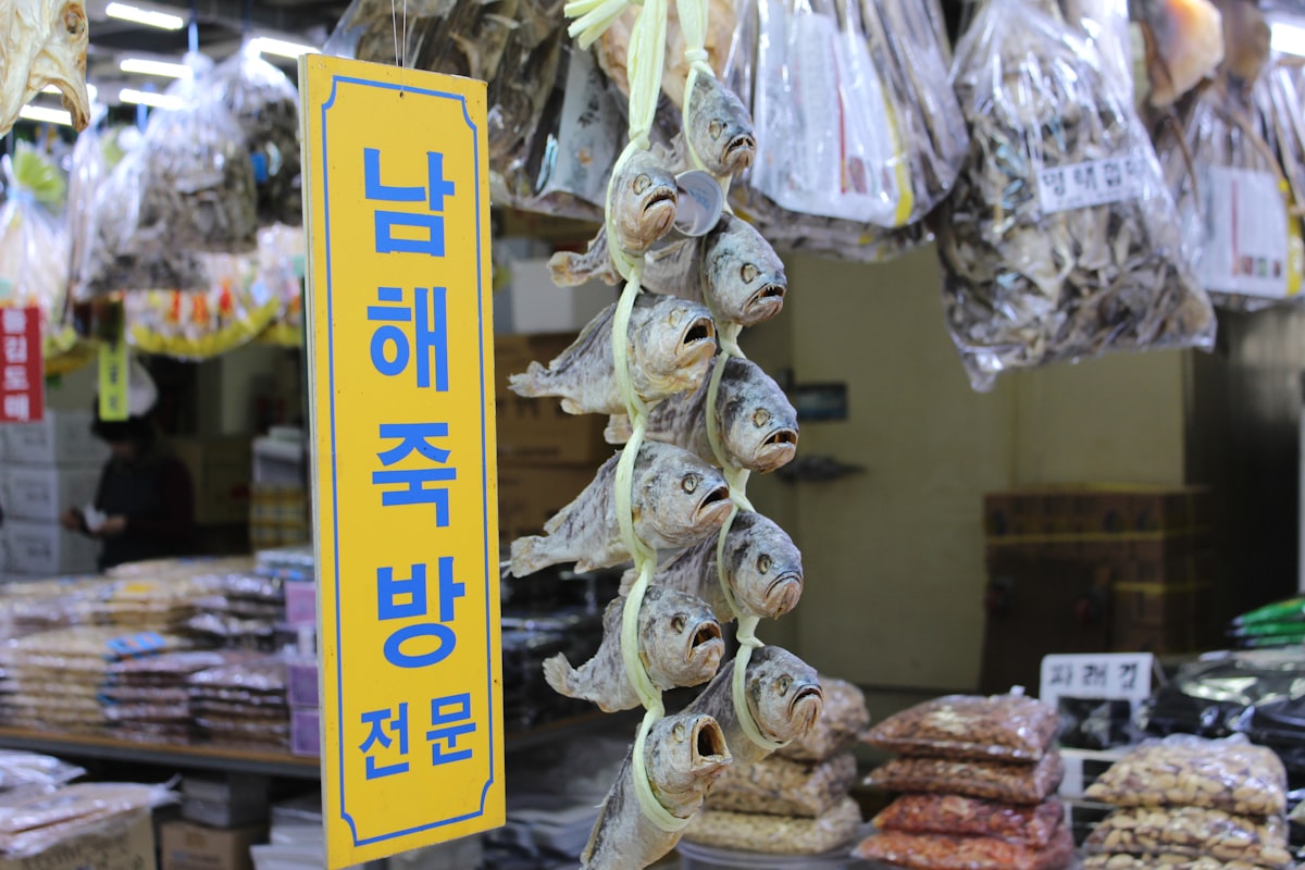 korean-pet-foods