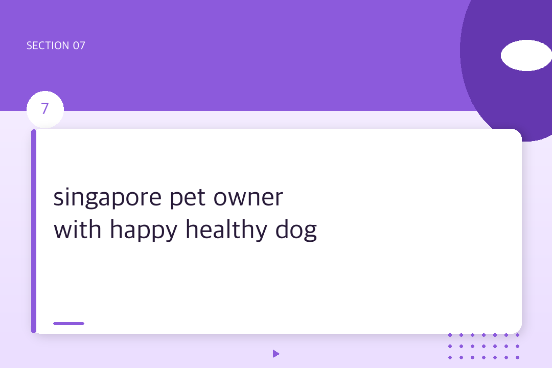 singapore pet owner with happy healthy dog