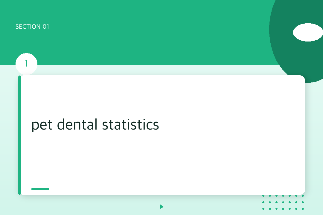 pet dental statistics