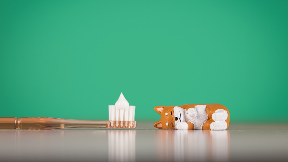 pet-toothbrush-bristle-types-comparison