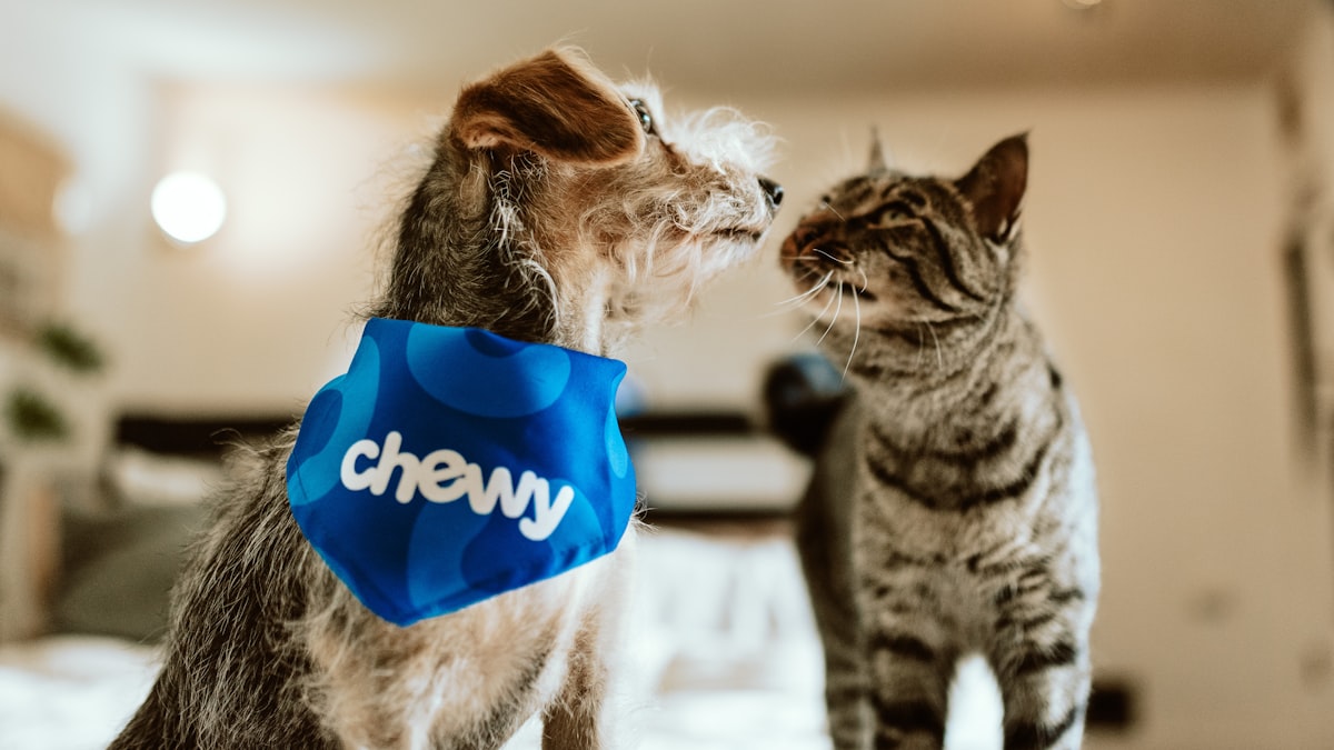 pet-owner-community-sharing-products