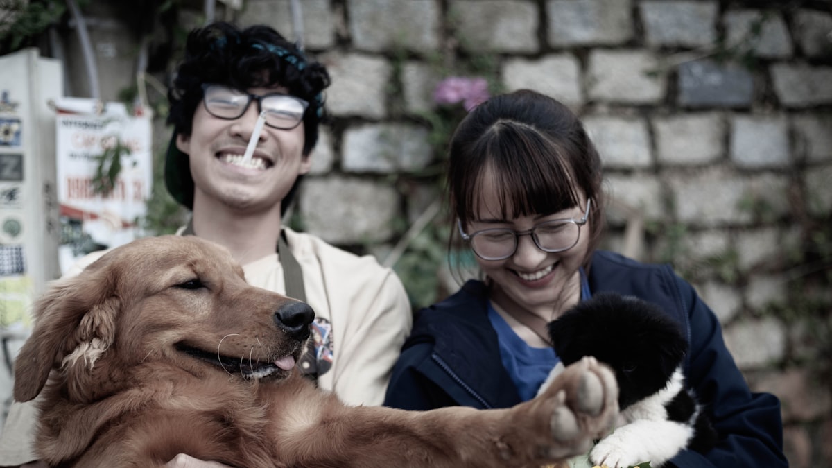 How Korean Pet Care Entered My Radar