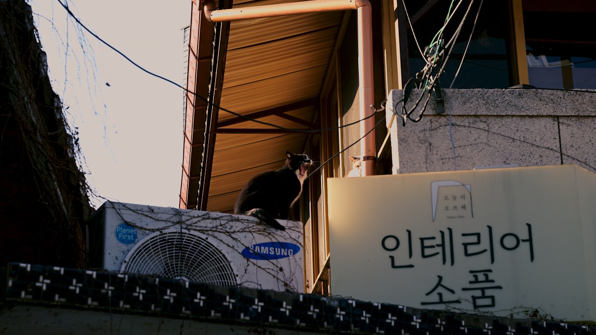 korean-smart-home-devices-setup