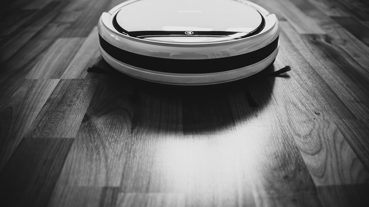 robot-vacuum-cat-household