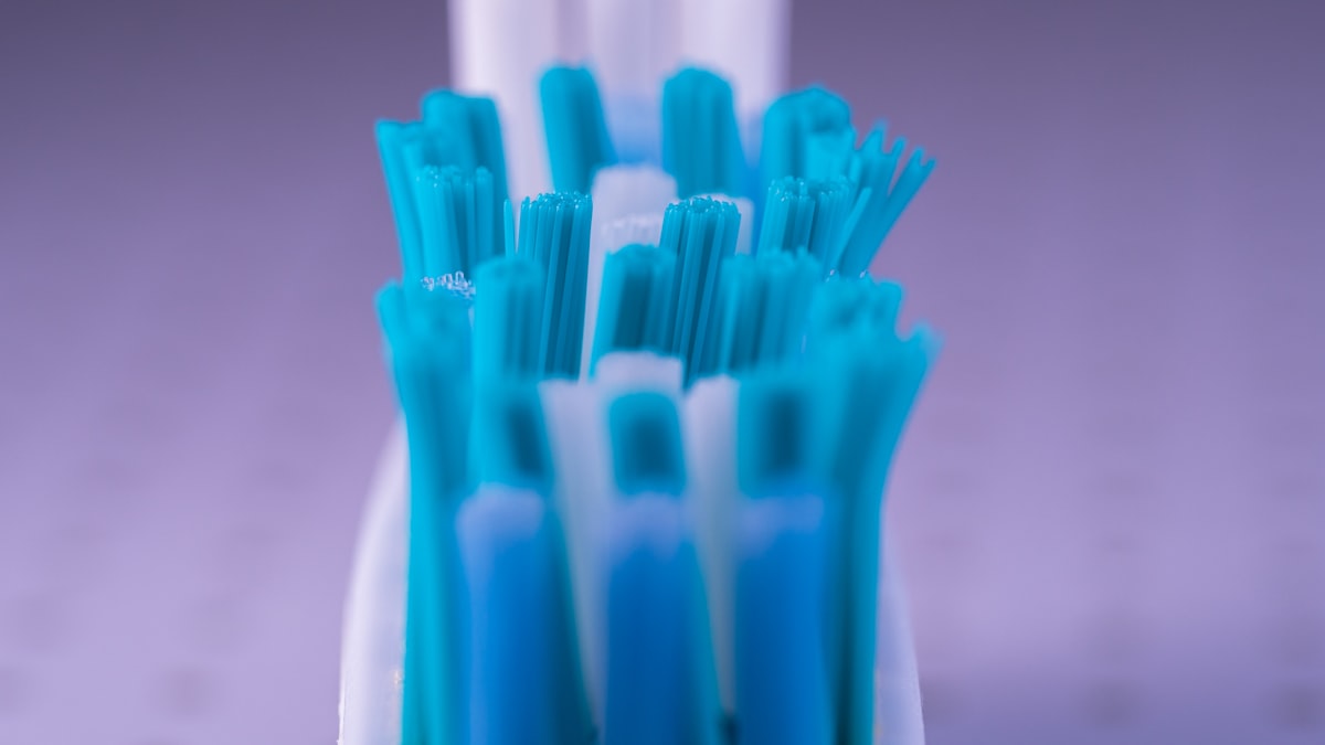ultra-fine-bristle-pet-toothbrush-closeup