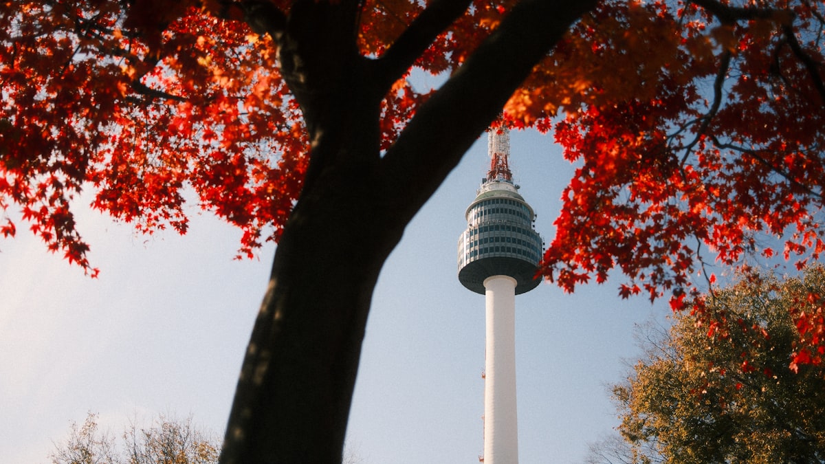 seoul-autumn-foliage-namsan-park