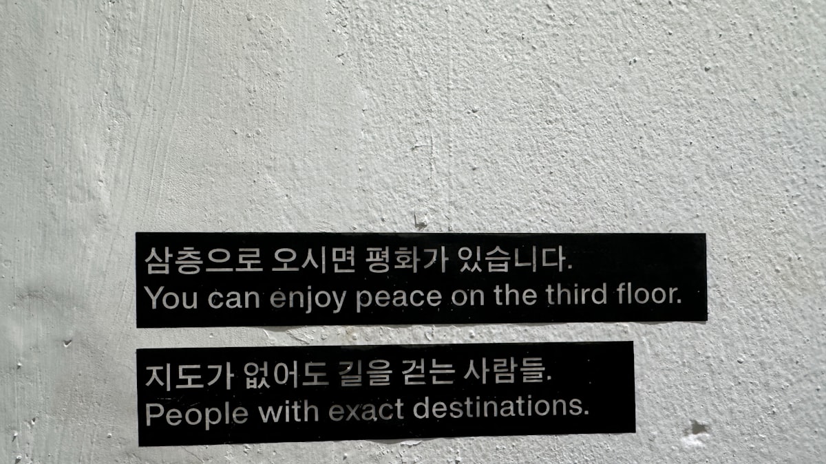 What The Korean Lyrics Actually Say (And Why English Transla