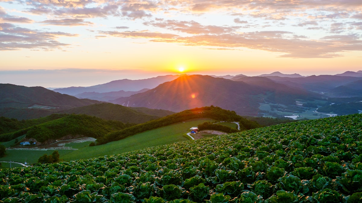 peaceful Korean mountain sunrise