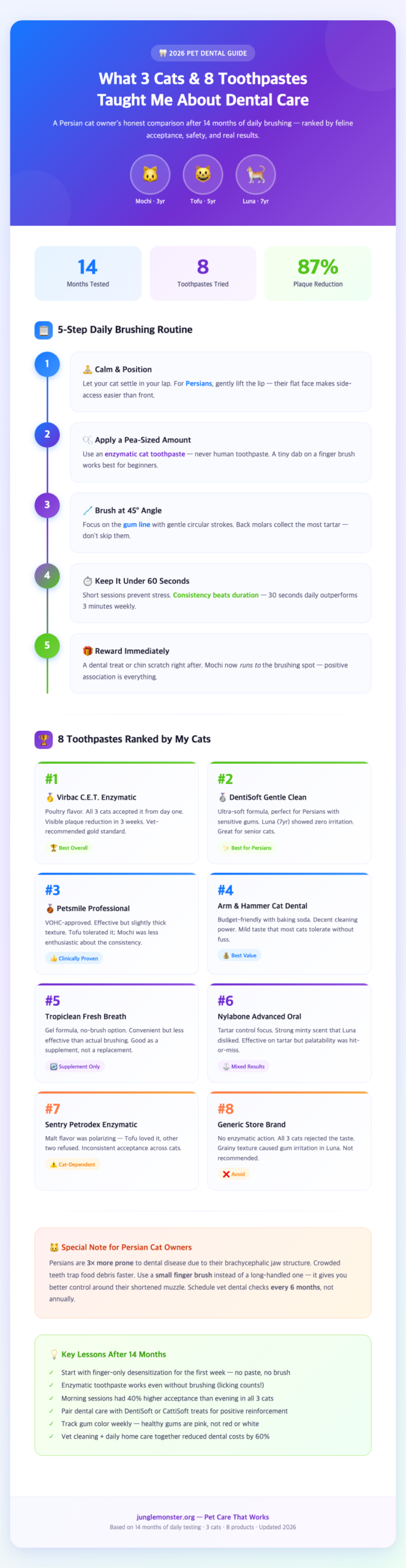 cat-dental-care-brushing-persian