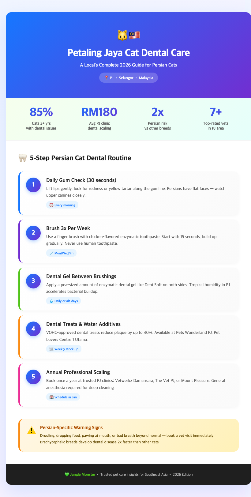 persian cat dental care petaling jaya