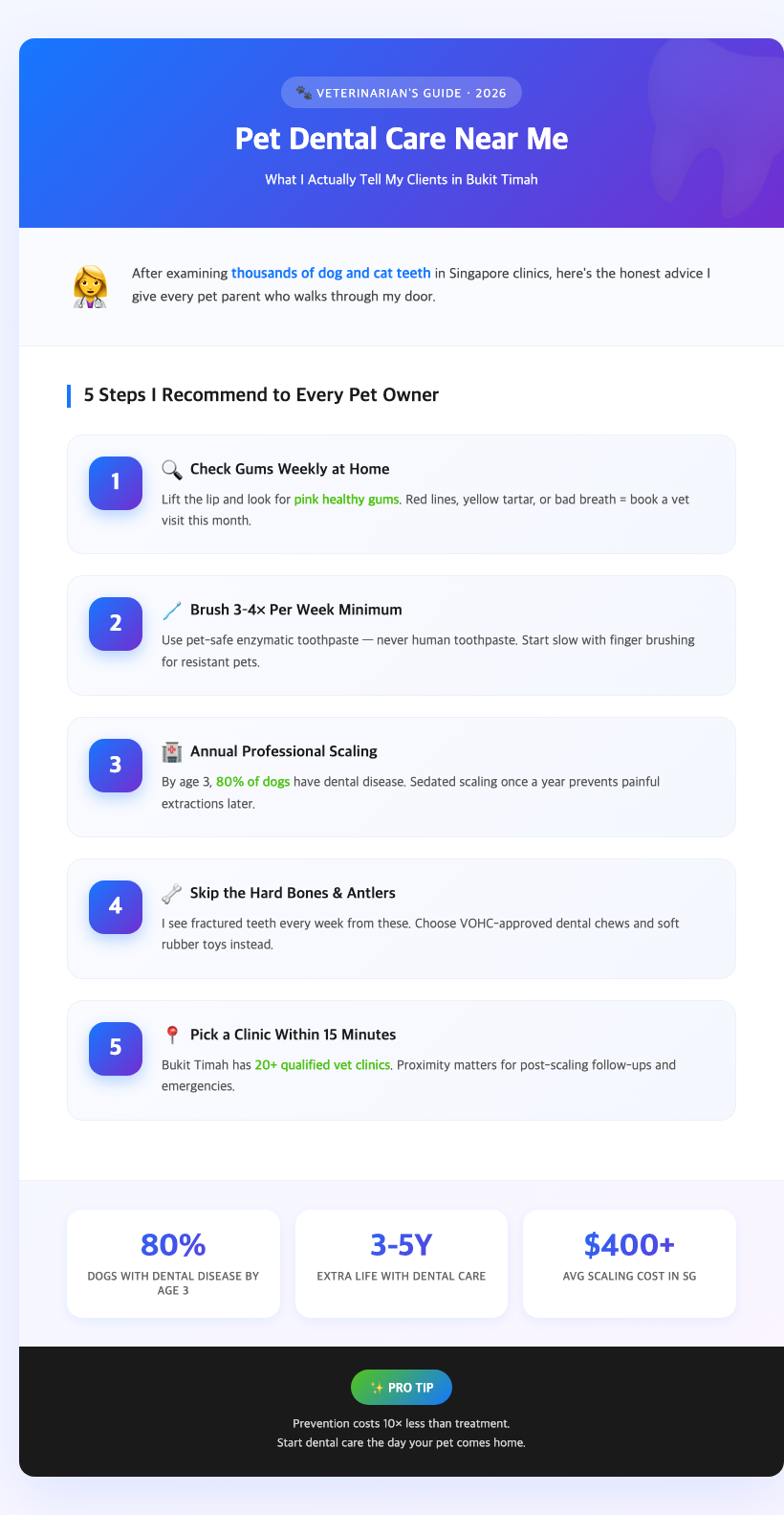 veterinarian examining dog teeth singapore clinic