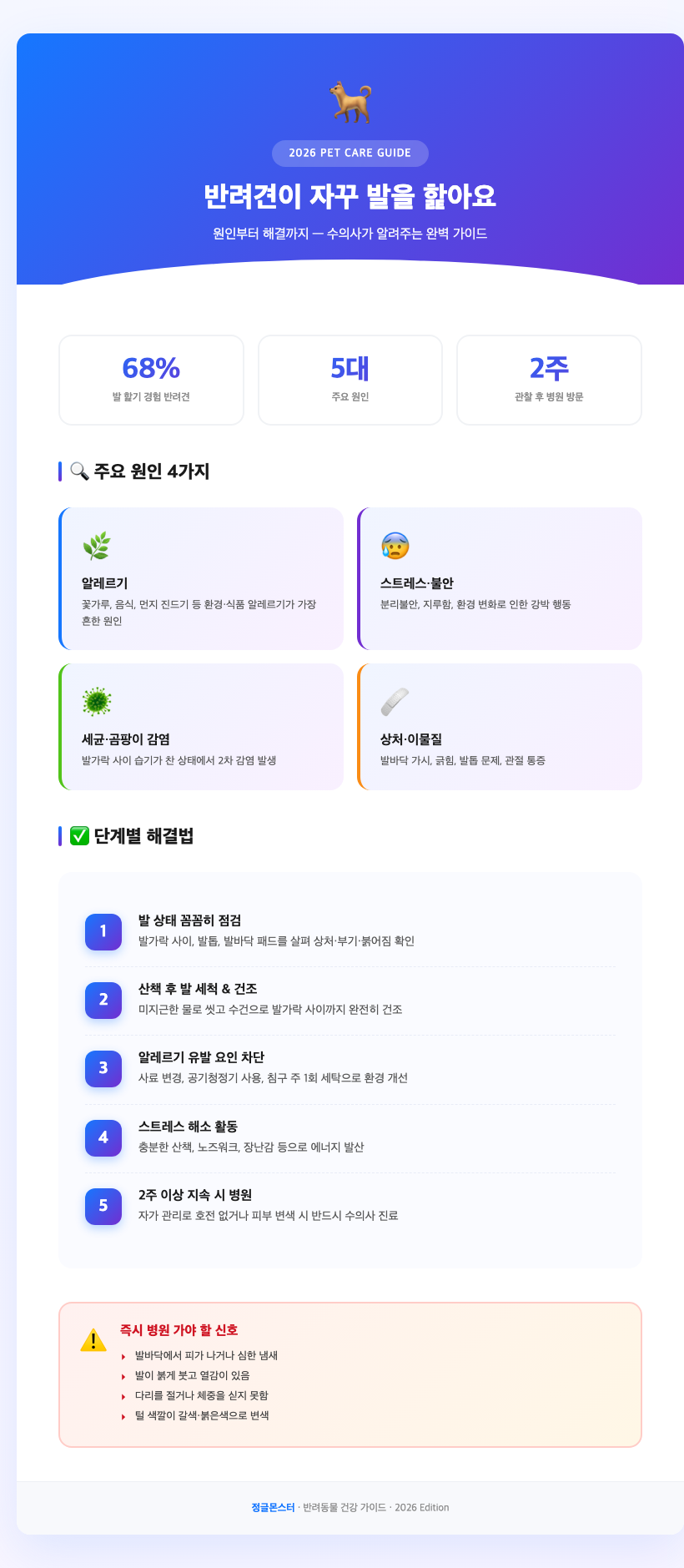 dog licking paw closeup