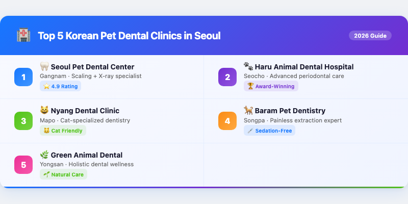 Top 5 Korean Pet Dental Clinics in Seoul (2026)