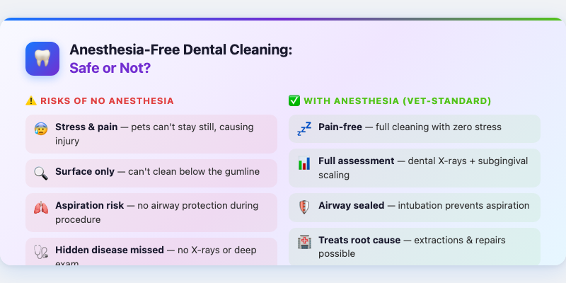 Anesthesia-Free Dental Cleaning: Safe or Not?