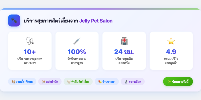บริการสุขภาพสัตว์เลี้ยงจาก Jelly Pet Salon