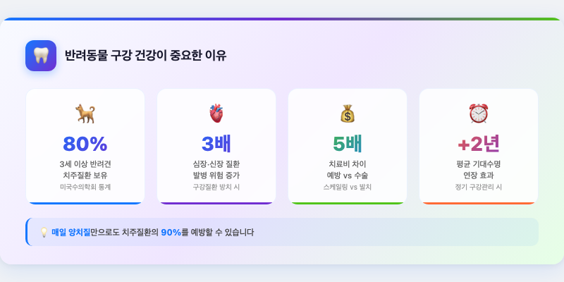 1. 반려동물 구강 건강이 중요한 이유