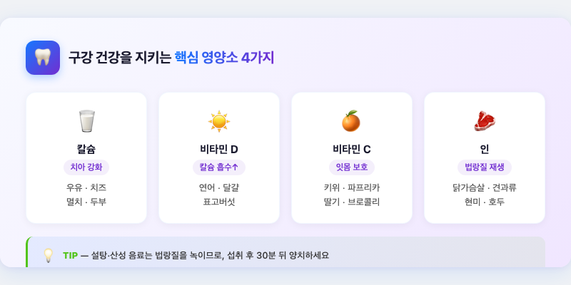 4. 구강 건강을 지키는 영양 관리법