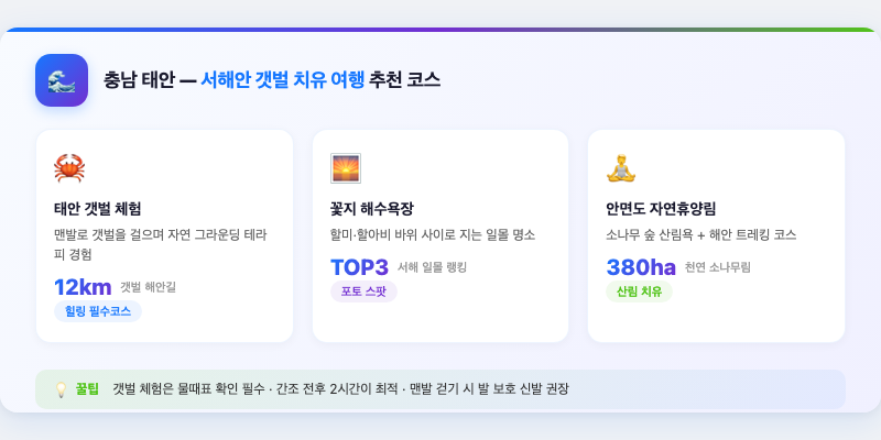 3. 충남 태안 – 서해안 갯벌 치유 여행